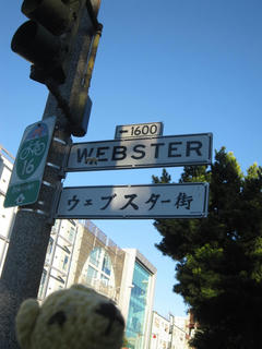 1125-11IMG_3657.jpg