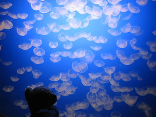 02IMG_3149.JPG