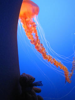 03IMG_3146.JPG