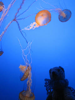 04IMG_3148.JPG