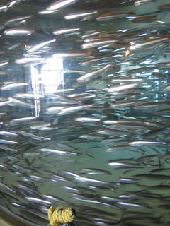 05IMG_3169.JPG