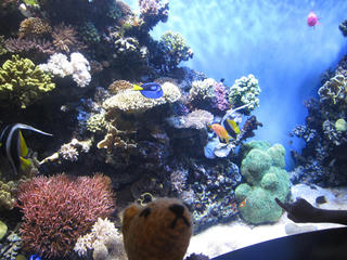 06IMG_3183.JPG