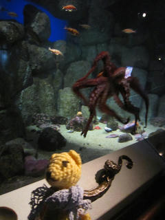 07IMG_3186.JPG