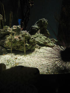 11IMG_3202.JPG