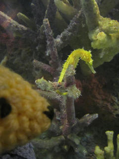 12IMG_3199.JPG