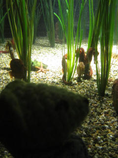 13IMG_3203.JPG