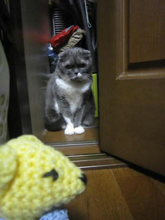 0102IMG_4479.jpg