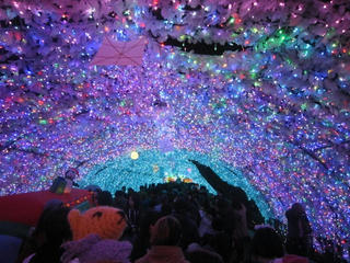 0103-1IMG_4506.jpg