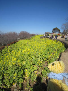 0111IMG_4645.jpg
