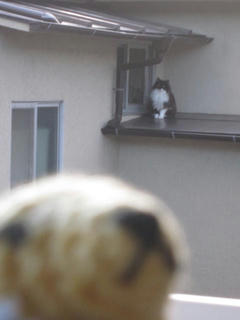 0205IMG_4795.jpg