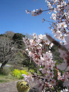 0316IMG_5233.jpg