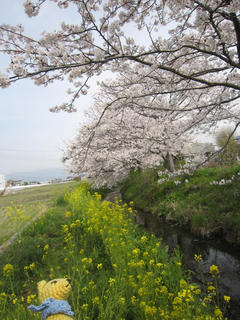 0329-2IMG_5900.jpg
