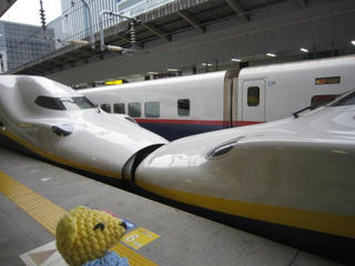 0324-1IMG_5357.jpg