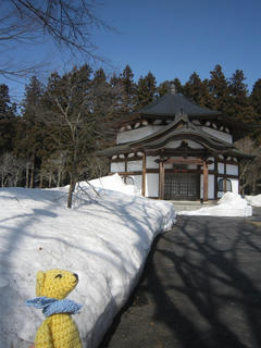 0324-8IMG_5461.jpg