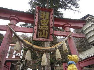 0325-3IMG_5690.jpg
