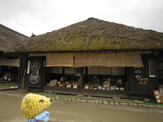 0325-6IMG_5729.jpg