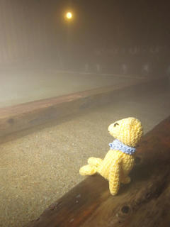 325-4IMG_5643.jpg