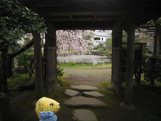 0330IMG_5999.jpg