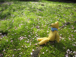 0405IMG_6063.jpg