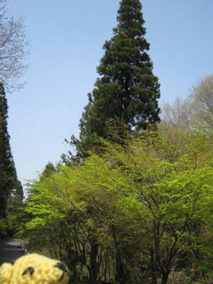 IMG_6162.jpg