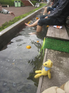IMG_6491.jpg