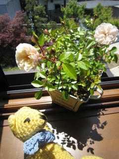 0508IMG_6516.jpg
