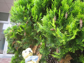 0529IMG_6684.jpg