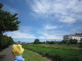 0615IMG_6789.jpg
