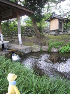 IMG_6799.jpg
