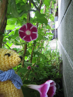 0705IMG_6994.jpg