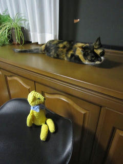 0719IMG_7109.jpg