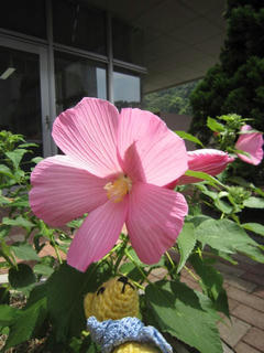 0721IMG_7117.jpg