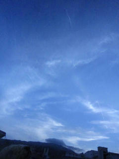 IMG_7510.jpg