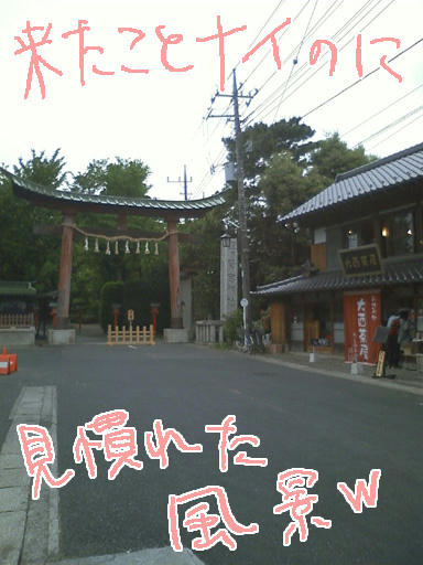 washinomiya1.jpg