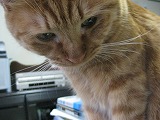 IMG_2945.jpg