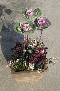 IMG_3067.jpg