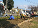 CIMG0490.JPG