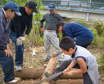 b65ccf15.JPG
