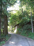 MA310011.JPG
