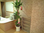 CA3A0216.jpg