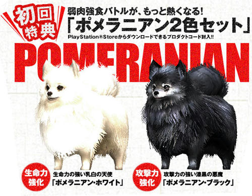 東京ジャングル　予約特典ポメラニアン