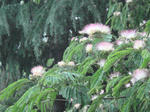 DSC00943.JPG