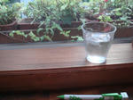 DSC00972.JPG