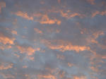 DSC01210.JPG