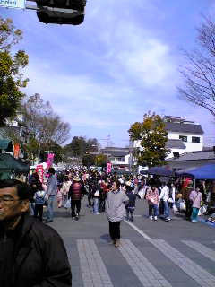 c4f85569.jpg