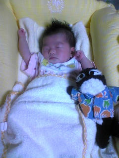 Image453~00.jpg