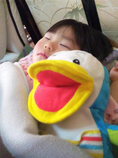 830c2d73.jpg