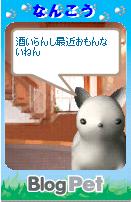 なんこう･･･