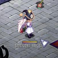 61.JPG