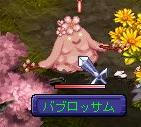 fceb8c33.JPG